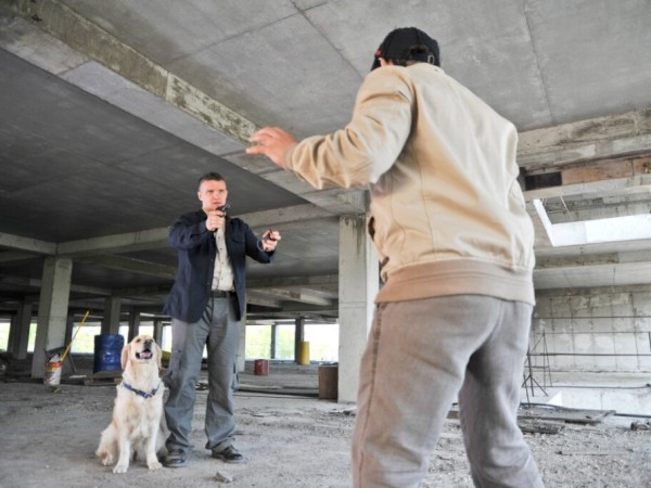 Собачья работа (3)