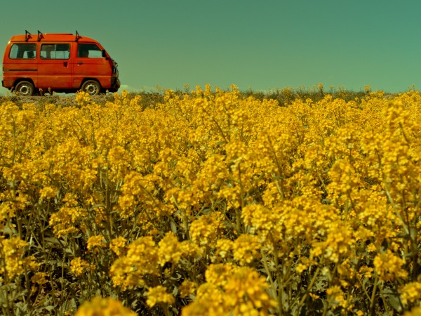 Как Витька Чеснок вёз Лёху Штыря в дом инвалидов (5)