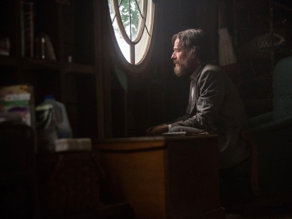 Во всем виноват енот (5)