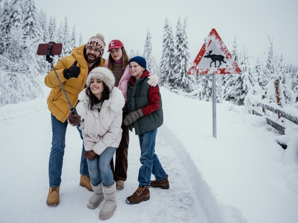 Гномы. Новогодний беспредел (3)