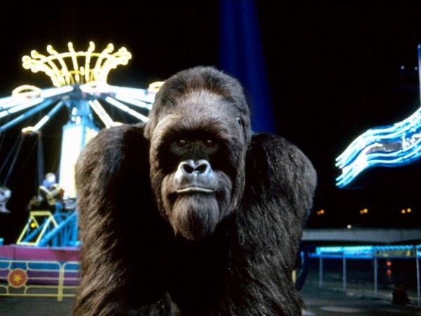 Могучий Джо Янг (4)