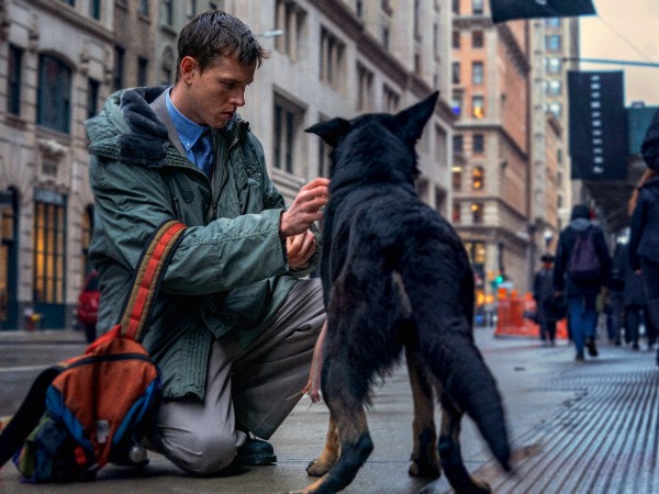 Плохая девочка (5)