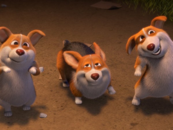 Побег из цирка (3)