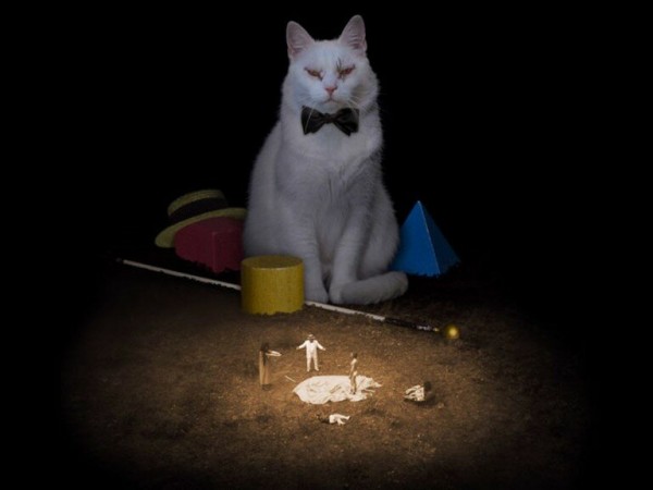 Коко-ди Коко-да (2)