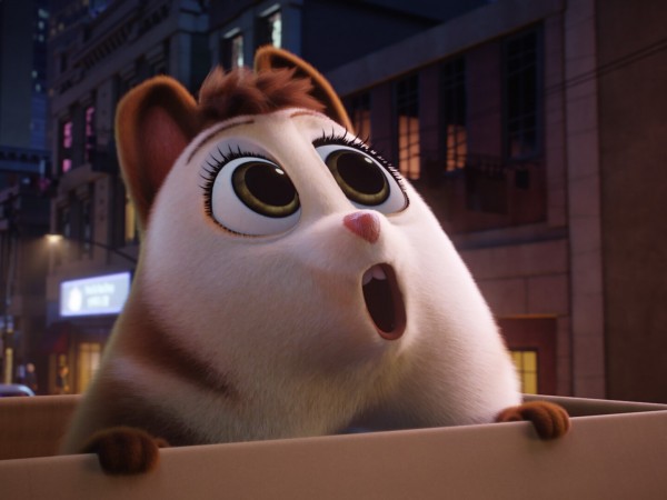 Пончары. Глобальное закругление (6)