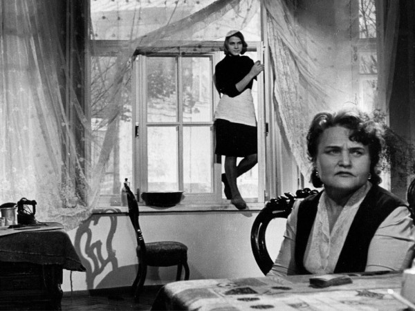 Короткие встречи (3)