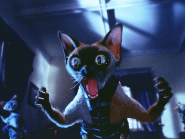 Кошки против собак (6)