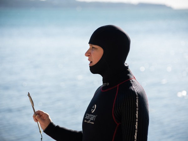 Орлинская (5)