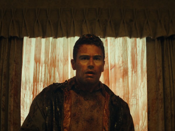 Обезьяна (2)