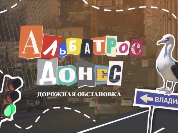 Альбатрос донёс