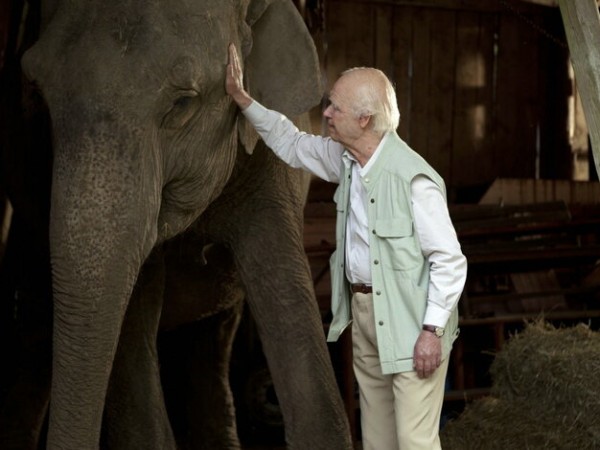 Столетний старик, который вылез в окно и исчез (2)