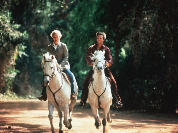 Зазубренное лезвие (3)