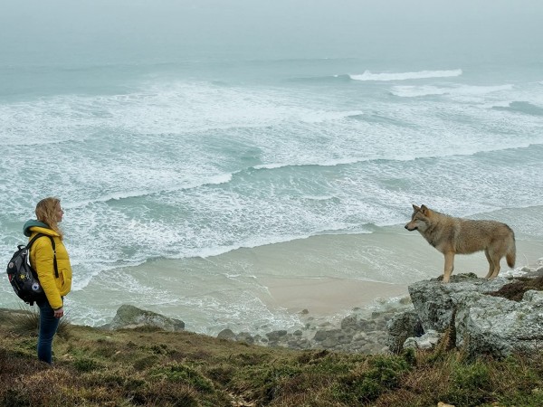 Комната чудес (3)