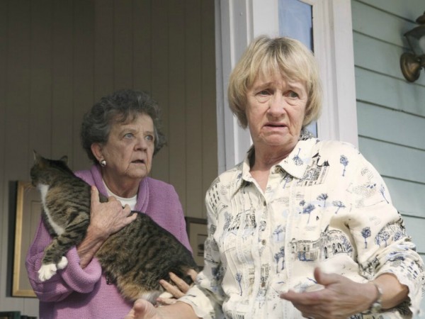 Отчаянные домохозяйки (2)