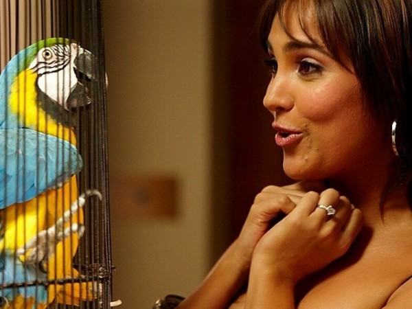 Полный дом (2)