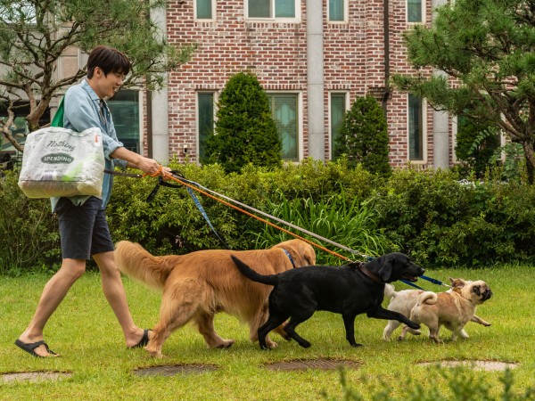 Мой пёс Руни (6)