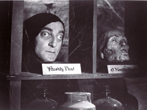 Молодой Франкенштейн (4)