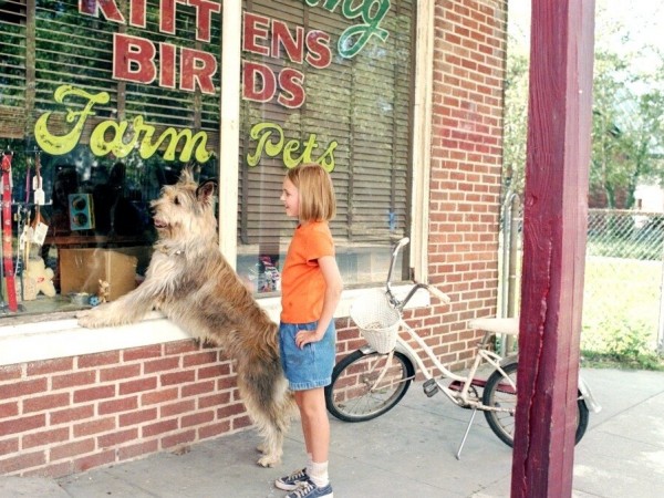 Благодаря Винн Дикси (3)