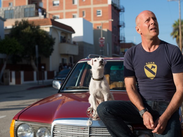 Его собачье дело