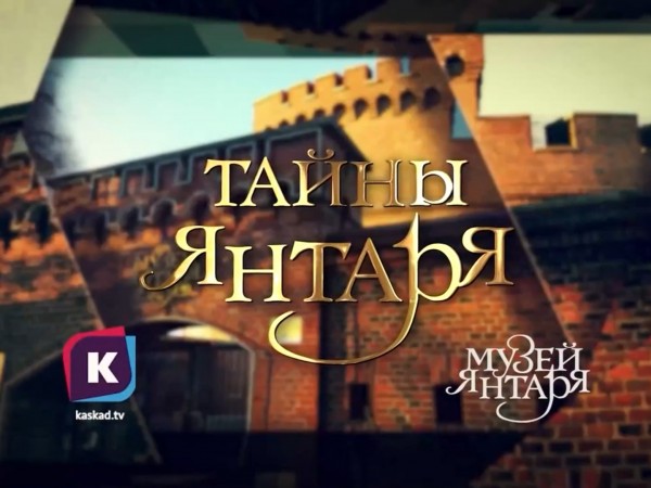 Тайны янтаря