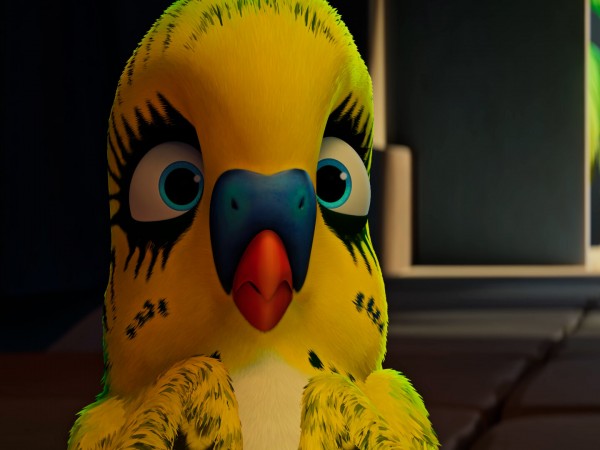 Трио в перьях-2 (6)