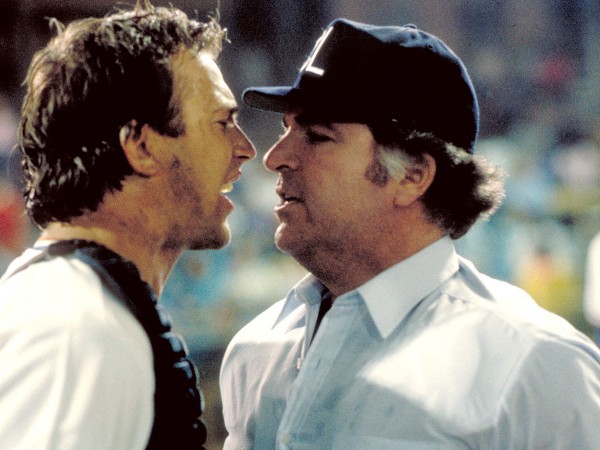 Дархэмские быки