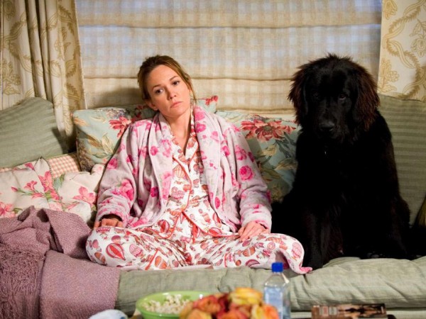 Любовь к собакам обязательна (5)