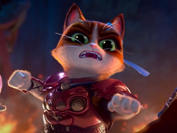 Кунг-фу кот