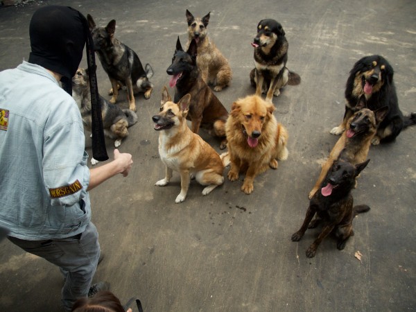 СуперБобровы (2)