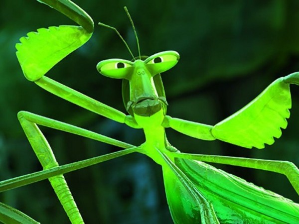 Кунг-фу Панда 3 (4)