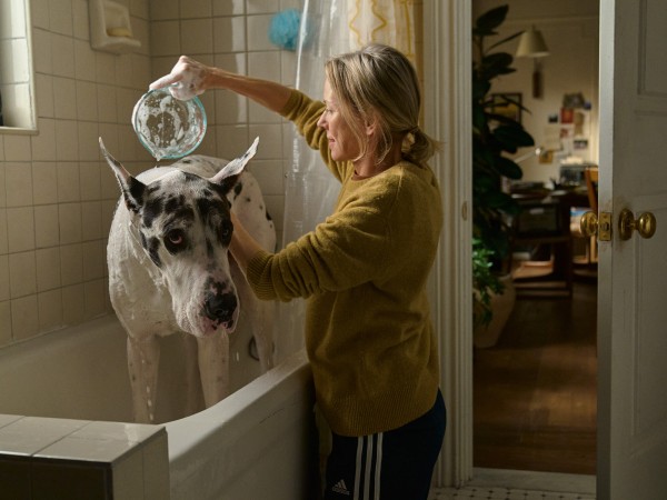 Верный друг (5)