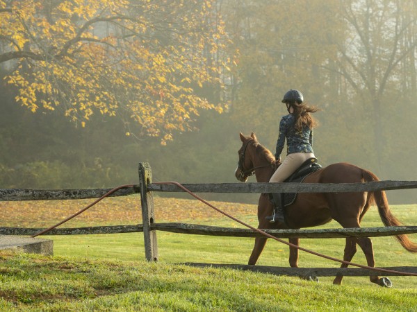 Галопом к мечте (6)