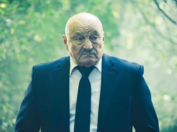 Серебряный волк (2)