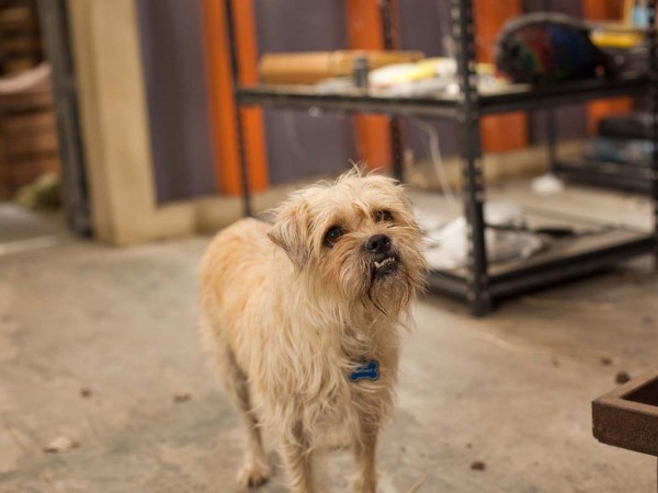 Дети шпионов 4D (3)