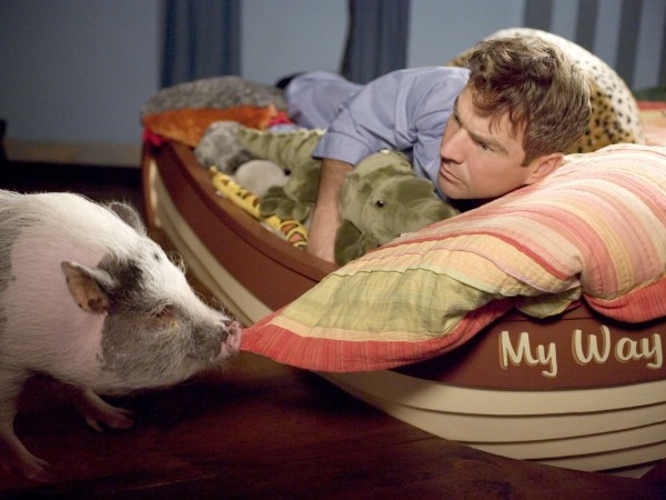 Твои, мои и наши