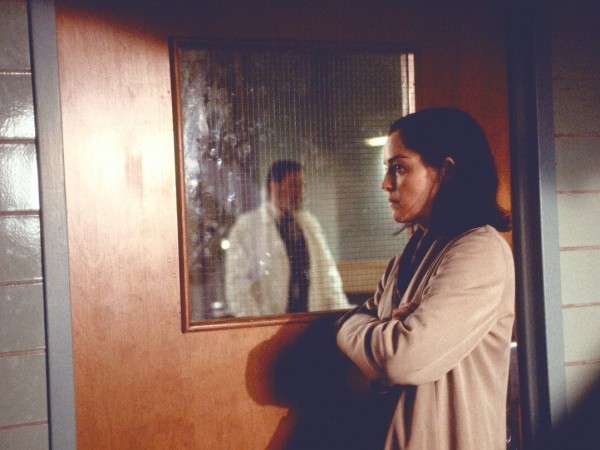 Двойной агент (2)