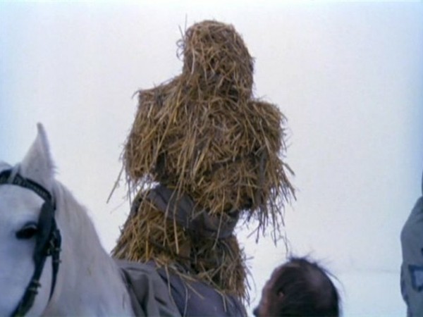 Дикая охота короля Стаха (3)