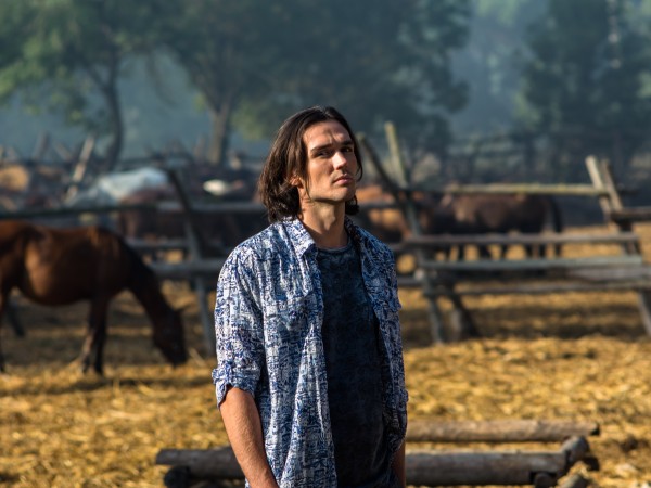 Цыганское счастье (3)