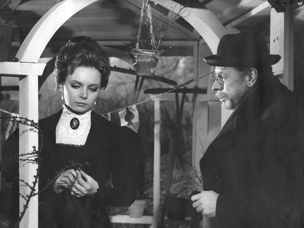 В городе С (2)