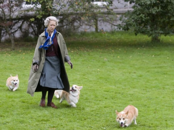 Королева (5)