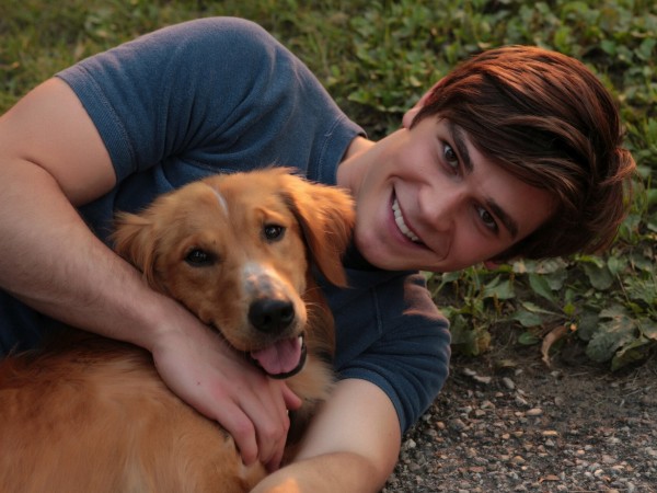 Собачья жизнь (4)