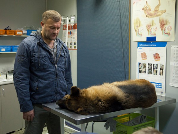 Сердце ангела (4)