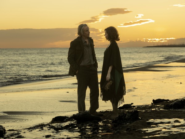 Школа мистера Пингвина (2)