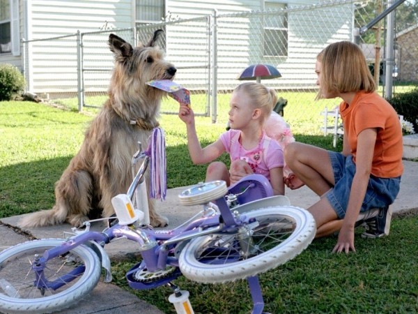 Благодаря Винн Дикси