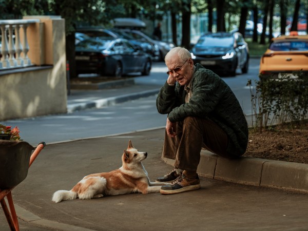 Дедушка без адреса (2)