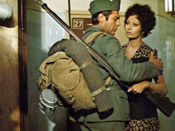 Подсолнухи