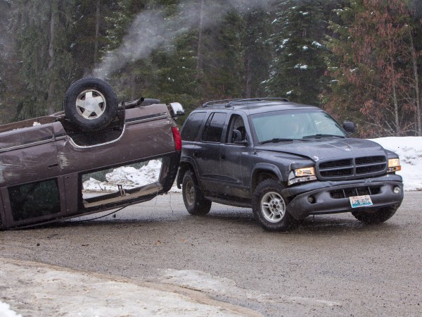 Дочь волка (2)