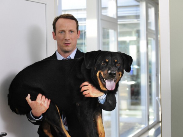 Что творят немецкие мужчины (6)