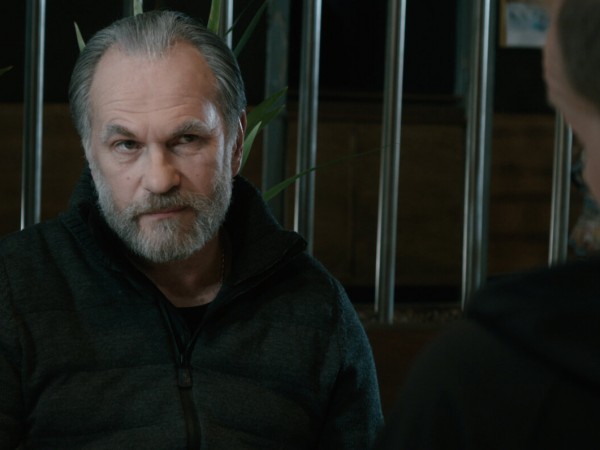 Пингвин нашего времени (6)