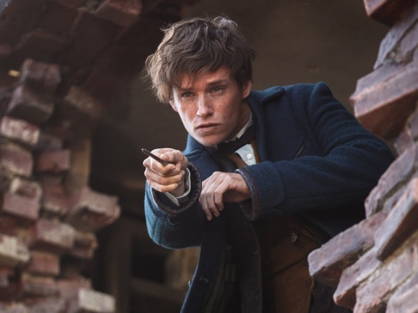 Фантастические твари и где они обитают (4)